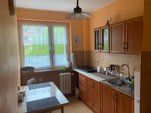 马佐夫舍地区新庄园Apartament Modlin的厨房配有木制橱柜、水槽和窗户。
