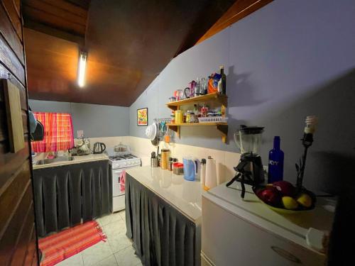 尼格瑞尔朱迪小屋和客房度假屋的厨房里有一个柜台,上面放着一碗水果