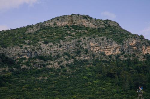 昂迪兹L'Hotel du Garage des Cevennes的一座大山,上面有树木