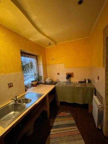 卢姆绍里Садиба у Попа的厨房设有黄色的墙壁、水槽和窗户