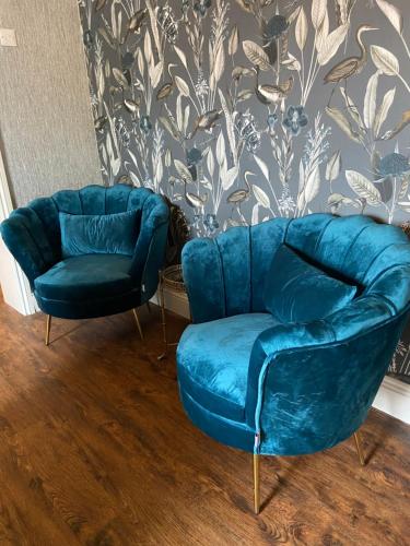 Patrington达尼丁住宿加早餐旅馆的两把椅子和一张蓝色沙发