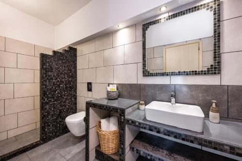 费拉普拉斯特拉客房酒店的一间带水槽、镜子和卫生间的浴室