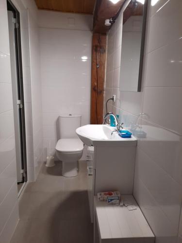圣特罗佩Villa Playa del Sol -B6的白色的浴室设有卫生间和水槽。
