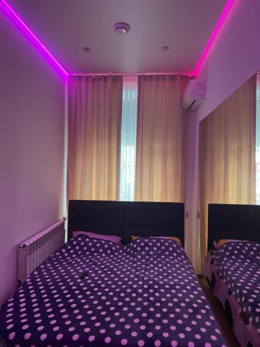 第聂伯罗Olesi Gonhara的一间卧室配有两张紫色照明床
