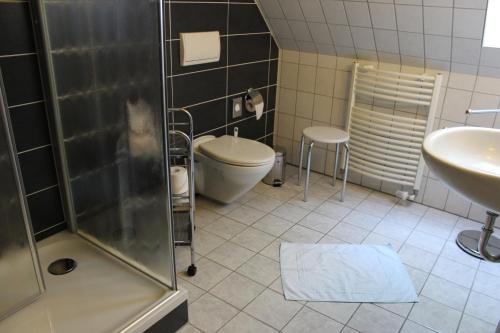 什未林盖茨霍夫祖尔嘉顿奎尔酒店的带淋浴、卫生间和盥洗盆的浴室