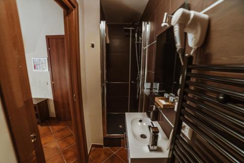 罗马隆达圣安吉洛套房旅馆的一间带水槽和淋浴的小浴室