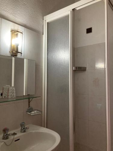 波尔图霍斯佩达利博阿维斯塔旅馆的一间带水槽和淋浴的浴室