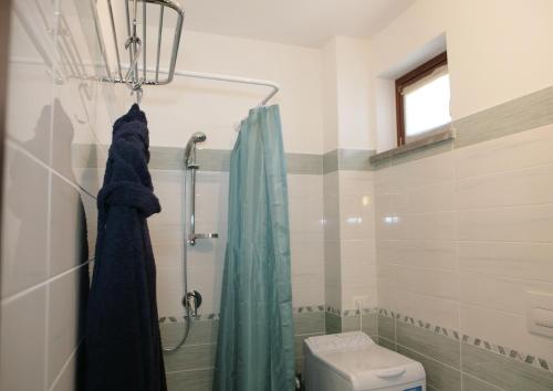特雷维尼亚诺罗马诺Casa Vacanze Relax in Piazzetta的带淋浴帘和卫生间的浴室