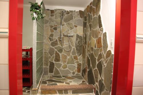 柏林富力德里沙根公寓的带淋浴的浴室(带石墙)