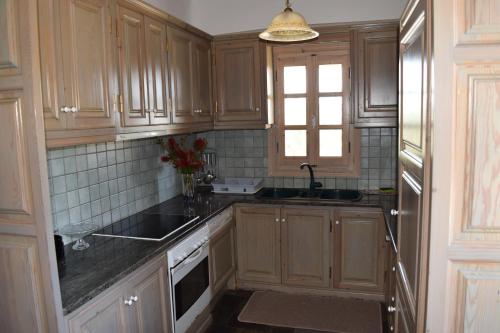 帕诺尔莫斯米科诺斯伊里尼别墅的厨房配有木制橱柜、水槽和窗户。