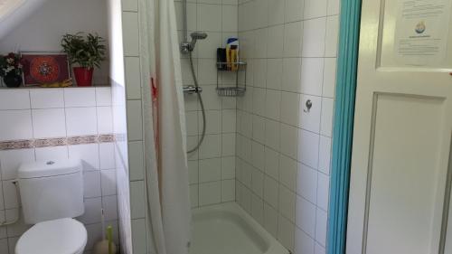 马斯特里赫特Ser's Studio Orange的带淋浴、卫生间和浴缸的浴室