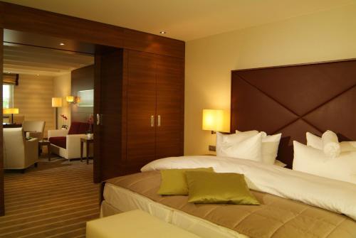 莱茵河畔路德维希港勒内博恩酒店的酒店客房设有床和客厅。