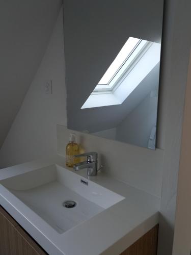 勒鲁Havre de paix et jardin tropical. Chambre privée的浴室水槽设有镜子和天窗