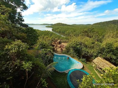 布桑加Sanctuaria Treehouses Busuanga的享有河流旁游泳池的空中景致