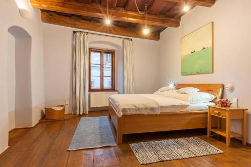 捷克克鲁姆洛夫Babyka Apartments的一间卧室设有一张床和一个窗口