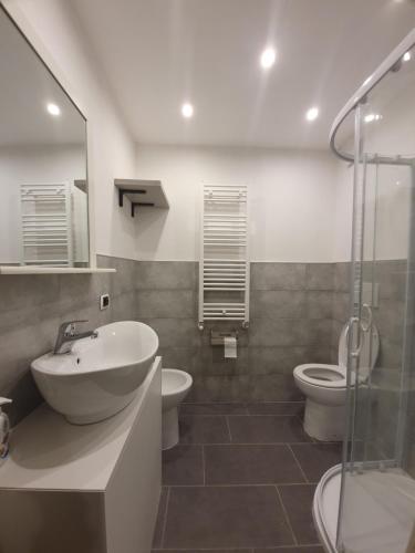 多莫多索拉Torre del Moro的一间带水槽、卫生间和淋浴的浴室