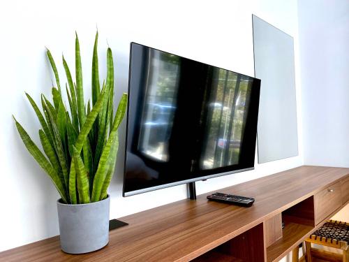 尼科西亚Urban Habitat Executive Suites的木桌上的平面电视,植物