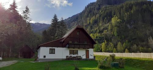 多内尔斯巴赫瓦尔德Haus Cilli的山地小房子