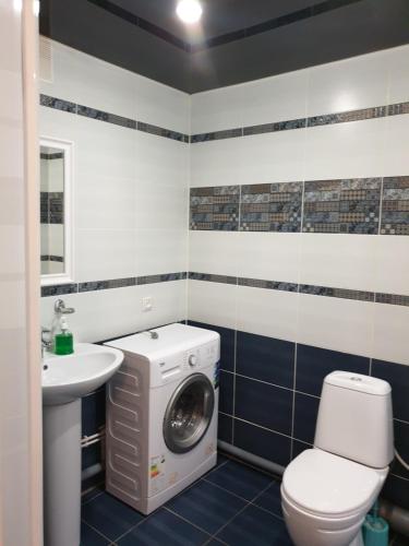乌里扬诺夫斯克Симбирские апартаменты на Варейкиса 42的一间带洗衣机和水槽的浴室