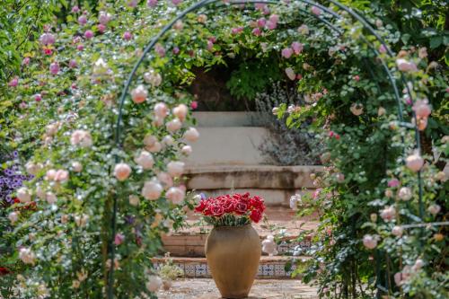 丽江丽江白沙火烈鸟主题客栈的花园中满是红花的花瓶