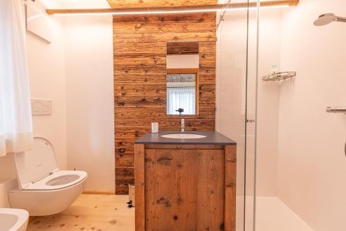 科尔蒂纳丹佩佐Casa del Lupo的一间带水槽和卫生间的浴室
