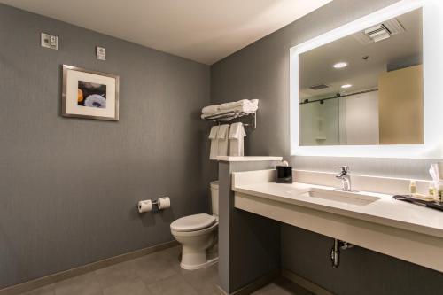 查塔努加查塔努加假日酒店及套房的一间带水槽、卫生间和镜子的浴室