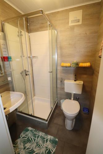 绍萨尔地区基策克乌布尔民宿的带淋浴、卫生间和盥洗盆的浴室