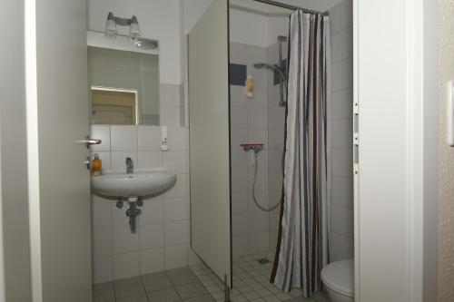 弗伦斯堡Ellen Hotel的带淋浴和盥洗盆的浴室