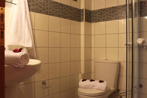 卡拉米锡Panoramic View的浴室配有卫生间、盥洗盆和淋浴。