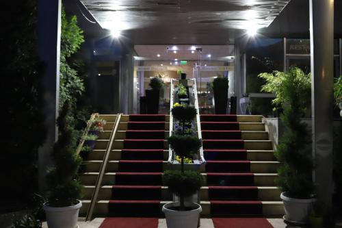 维丁Rovno Hotel的一套楼梯,上面有盆栽植物