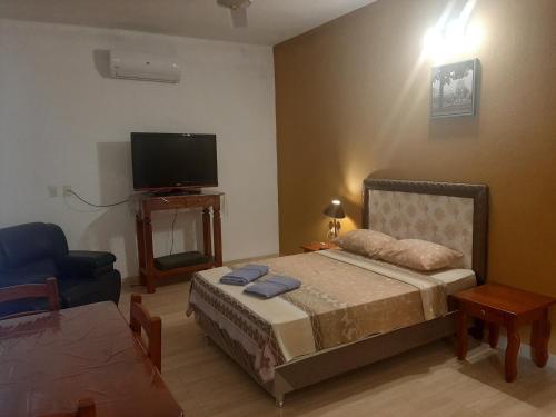 皮里韦维La Esperanza的一间卧室配有一张床、一台电视和一把椅子