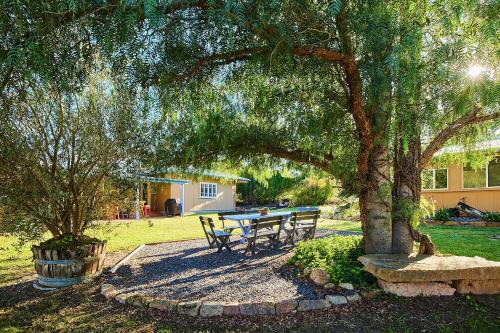 BallandeanA Stanthorpe Getaway的院子里树下的野餐桌