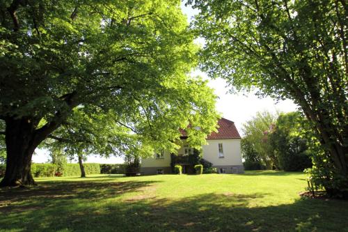 SchönbeckFerienhaus Ratteyer Idyll的田野上树木林立的房子
