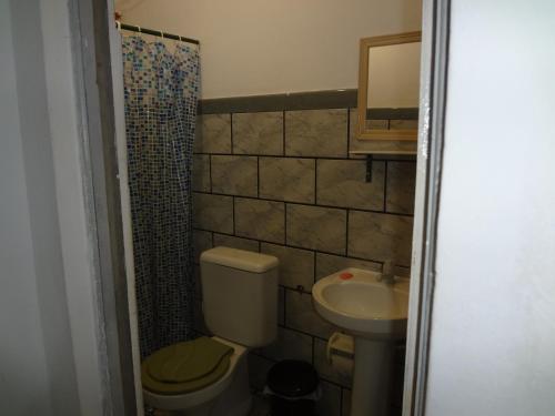 萨尔瓦多蓝海公寓的一间带卫生间和水槽的小浴室