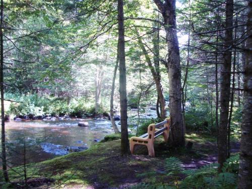 苏必利尔湖小多策酒店的坐在河边树林里的长凳