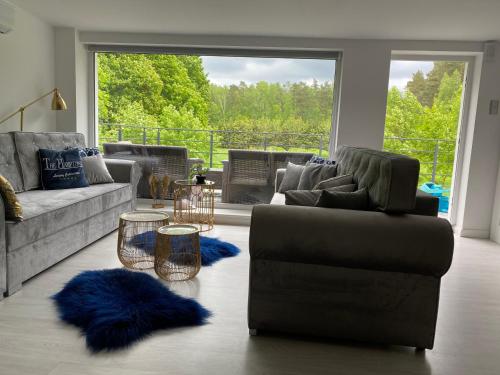 奥斯特罗达Comfort Zone Ostróda Ruś Mała的带沙发和蓝色地毯的客厅