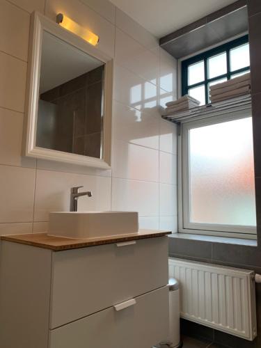 栋堡多姆堡之家公寓的一间带水槽和镜子的浴室