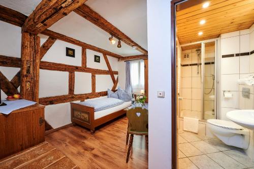 齐恩多夫Hotel-Gasthof Bub的一间带床、水槽和卫生间的浴室