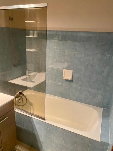 艾克斯莱班Hôtel des Alpes的带淋浴、浴缸和盥洗盆的浴室