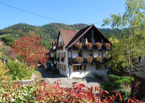 福尔巴赫Hotel am Mühlbach的村子里的窗户上装有花盆的建筑物