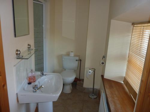 KillashandraCastlehamilton Mill Cottage的浴室配有白色水槽和卫生间。