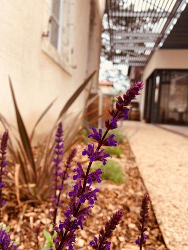 波讷地区帕朗提CHEZ FLO的一座建筑前的一大束紫色花