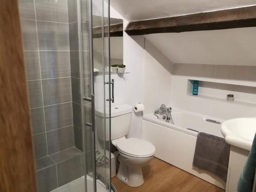 哈罗盖特Harrogate Toffee Loft的浴室配有卫生间、淋浴和盥洗盆。