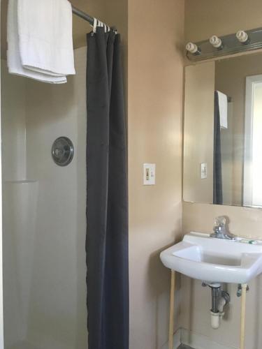 贝尔马The Belmar Inn的浴室配有淋浴帘和盥洗盆。