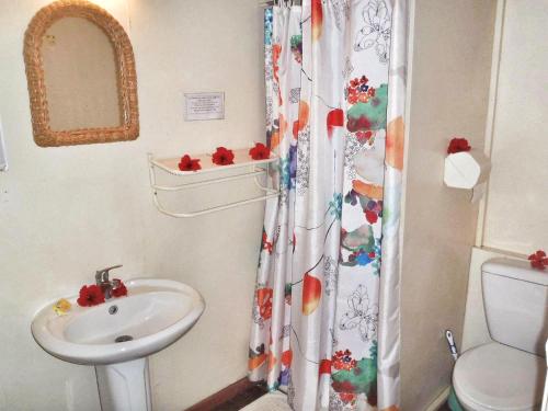 法勒HUAHINE - Bungalow Vanille 2p的一间带水槽和淋浴帘的浴室