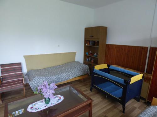 AlsóbereckiÁGÓC Vendégház的小房间设有一张床、一把椅子和一张桌子