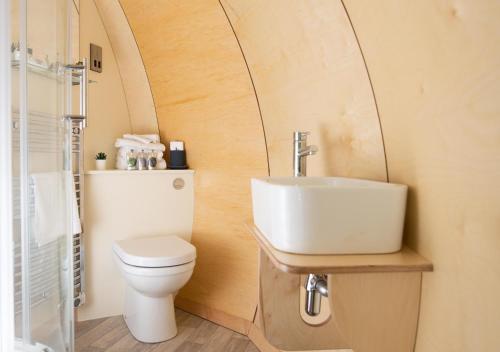 唐帕特里克Kinelarty Luxury Glamping Pods Downpatrick的一间带卫生间和水槽的浴室