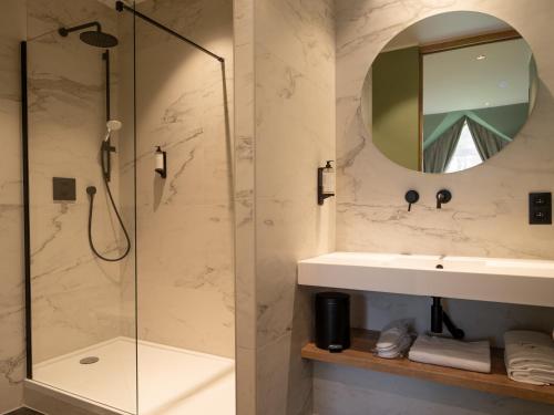 JodoigneLa Villa du Hautsart的带淋浴、盥洗盆和镜子的浴室