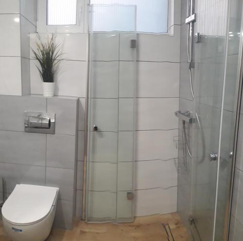 凯蒂赖贝西Apartament Kąty Rybackie Zaciszna的一间带卫生间和玻璃淋浴间的浴室