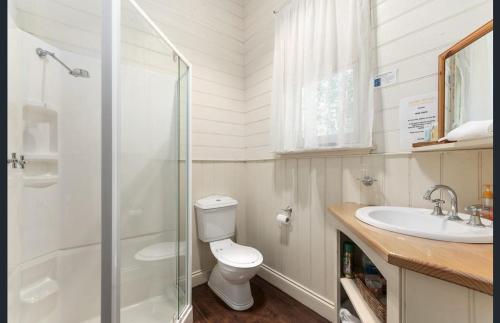 沃尔哈拉Jacomb's Cottage and Studio的带淋浴、卫生间和盥洗盆的浴室
